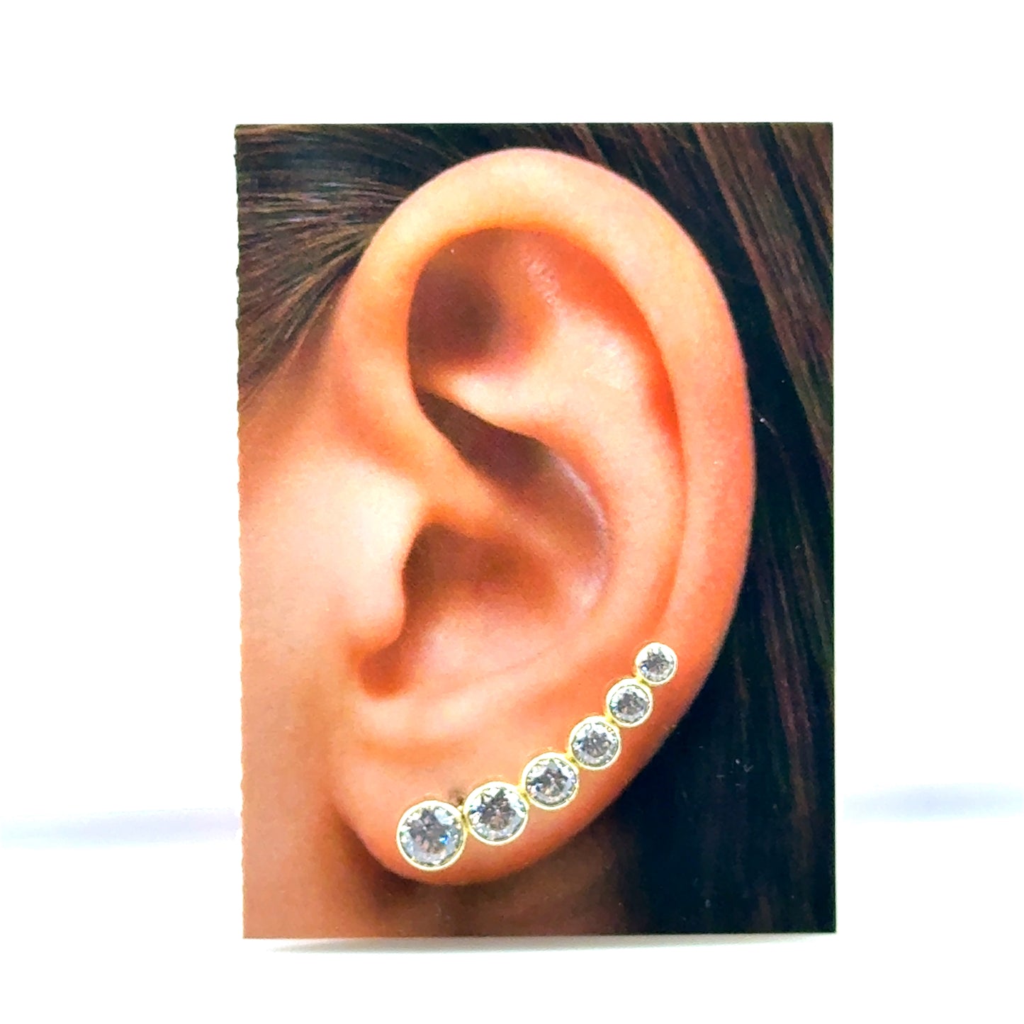 Arete Trepador en Oro 10k con Circones