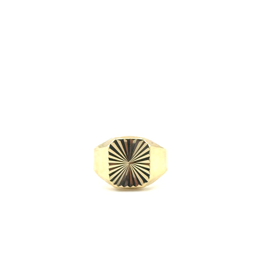 Anillo de Hombre en Oro 10K