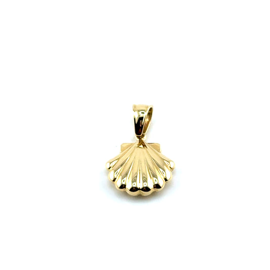 Dije Concha en Oro 14K