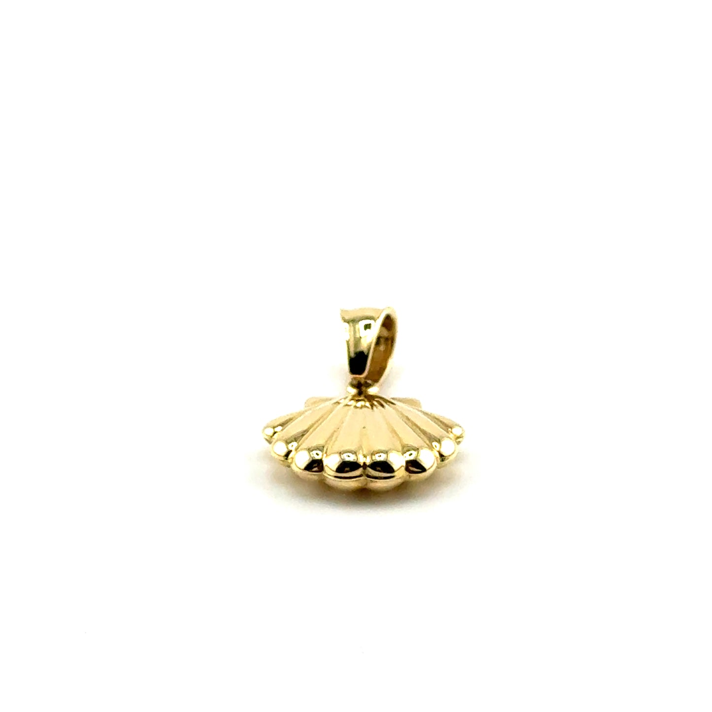 Dije Concha en Oro 14K